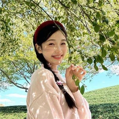 小黄花青草地